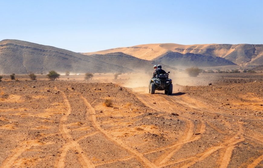 Combined Quad and camel ride
